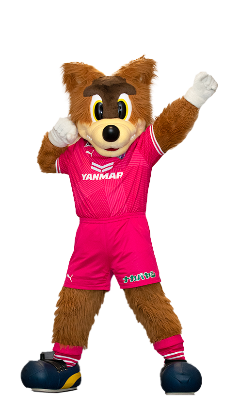 正解ロイくん